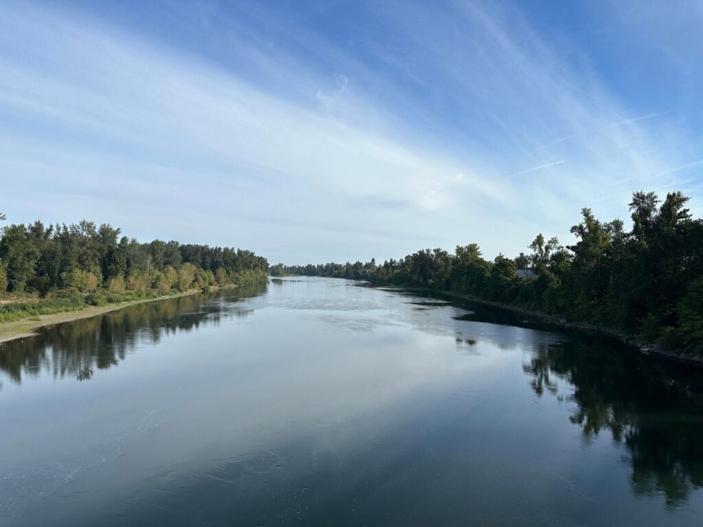 Willamette River from bridge