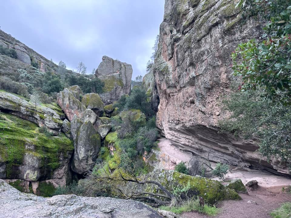 trail pinnacles national park