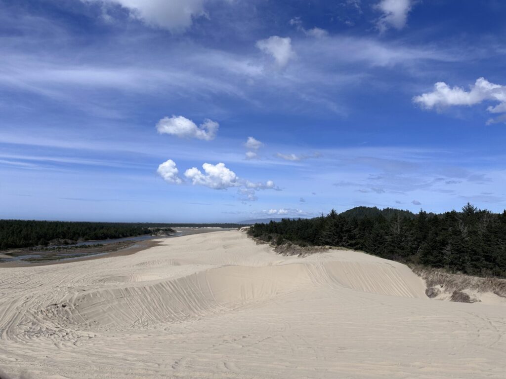 Oregon dunes