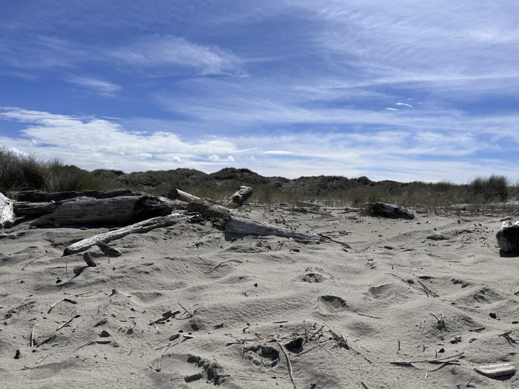 Beach at Oregon Dunes