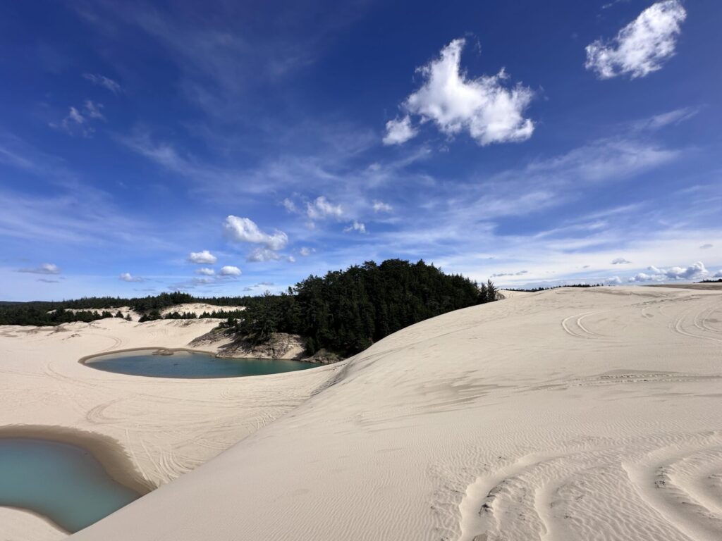 Oregon Dunes