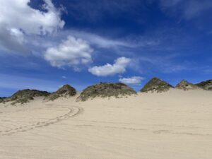 Oregon Dunes